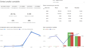Business Intelligence contabili