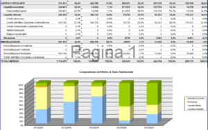 profis analisi bilancio