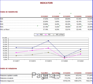 Profis analisi bilancio